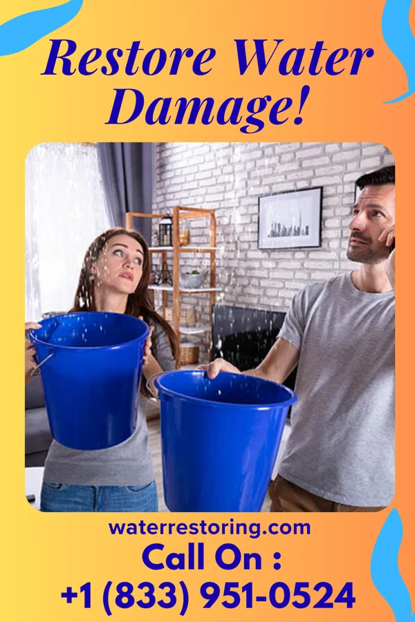 water restoration Empire Disaster Cleanup Network Vanderbilt