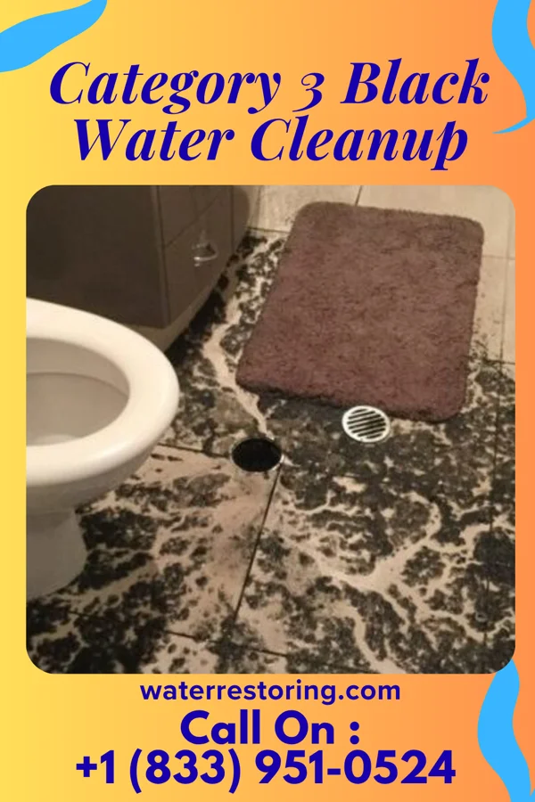 Category 3 Black Water Cleanup in Vanderbilt, MI