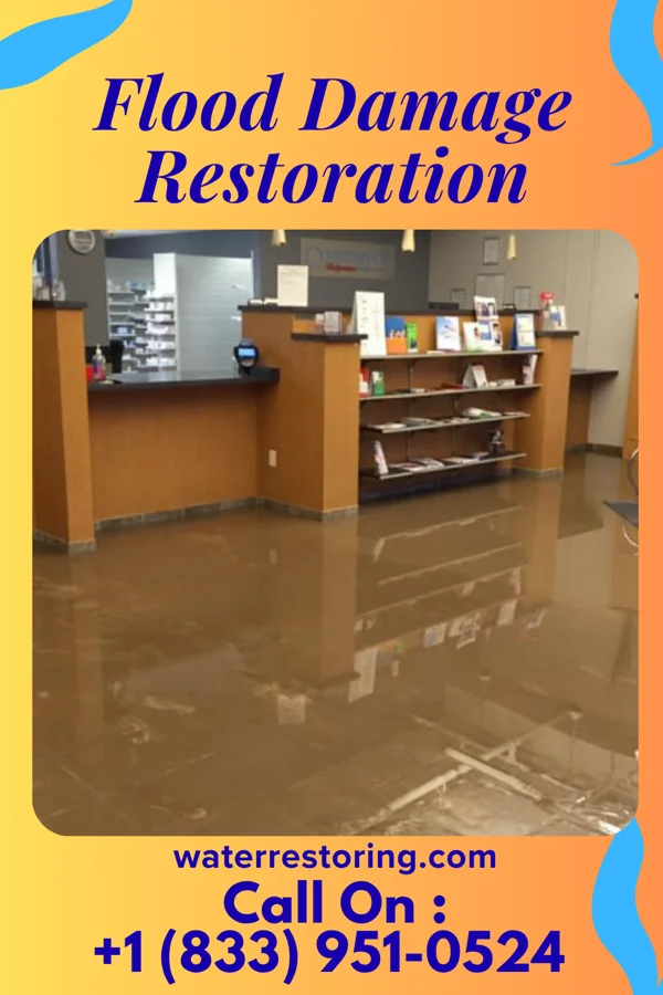 Flood Damage Restoration in Vanderbilt, MI