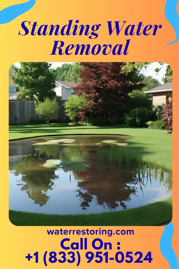 Standing Water Removal in Vanderbilt, MI